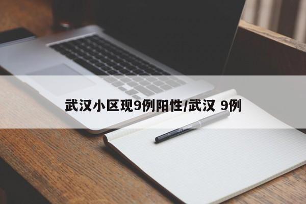 武汉小区现9例阳性/武汉 9例