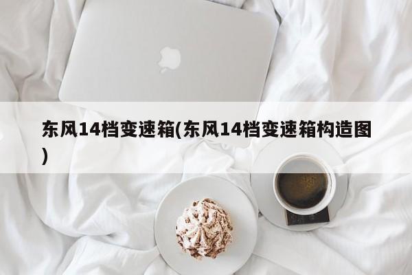 东风14档变速箱(东风14档变速箱构造图)