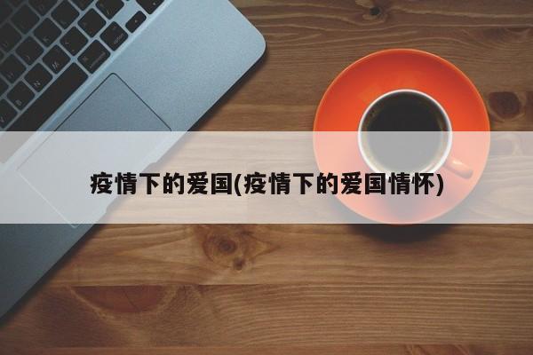 疫情下的爱国(疫情下的爱国情怀)