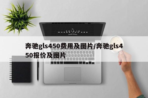 奔驰gls450费用及图片/奔驰gls450报价及图片