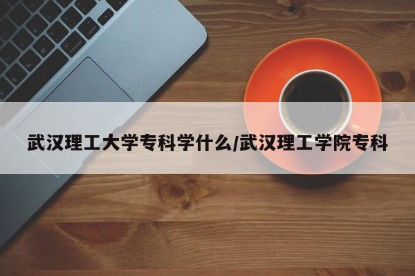 武汉理工大学专科学什么/武汉理工学院专科