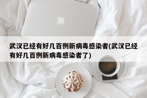 武汉已经有好几百例新病毒感染者(武汉已经有好几百例新病毒感染者了)