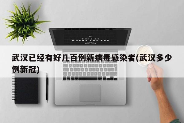 武汉已经有好几百例新病毒感染者(武汉多少例新冠)