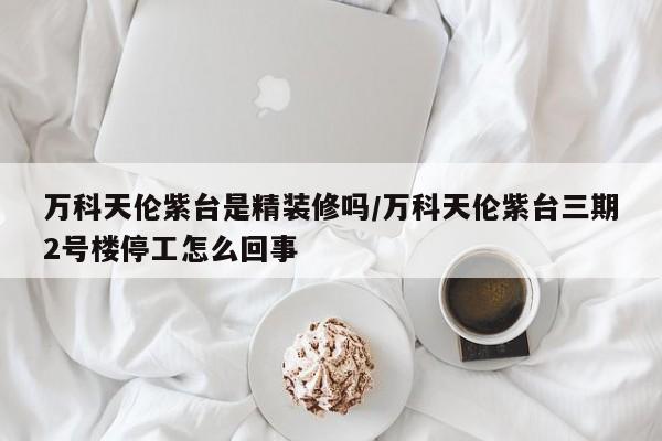 万科天伦紫台是精装修吗/万科天伦紫台三期2号楼停工怎么回事