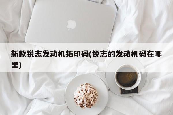新款锐志发动机拓印码(锐志的发动机码在哪里)