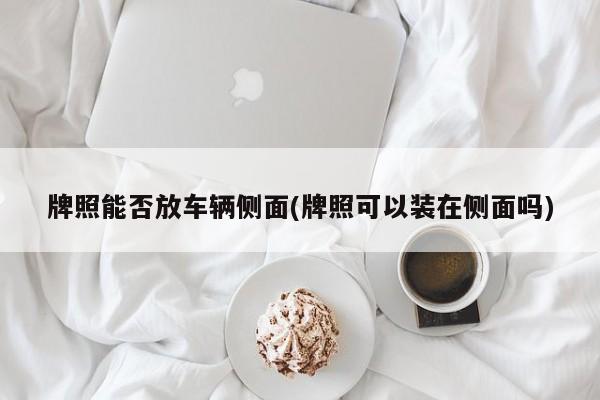 牌照能否放车辆侧面(牌照可以装在侧面吗)