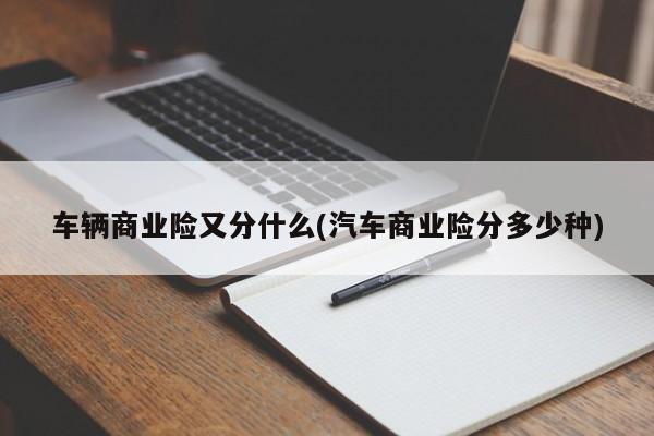车辆商业险又分什么(汽车商业险分多少种)