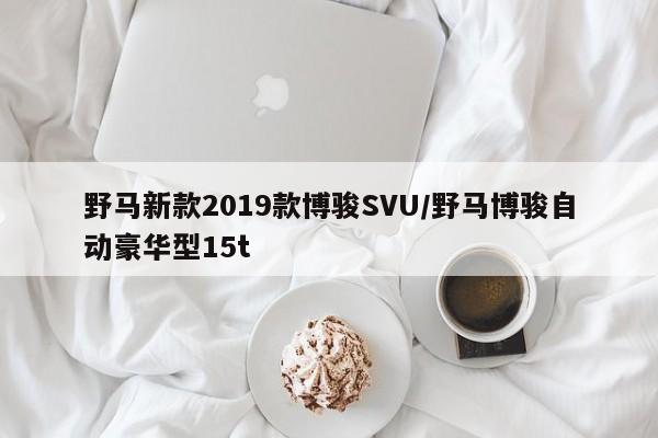 野马新款2019款博骏SVU/野马博骏自动豪华型15t