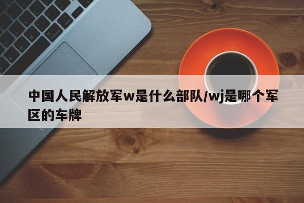 中国人民解放军w是什么部队/wj是哪个军区的车牌