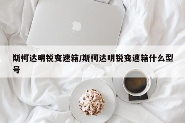 斯柯达明锐变速箱/斯柯达明锐变速箱什么型号