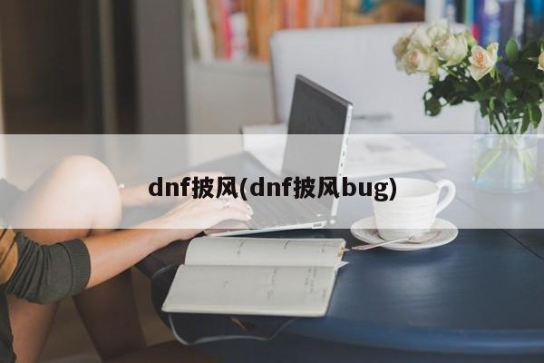 dnf披风(dnf披风bug)