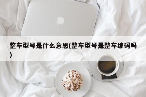 整车型号是什么意思(整车型号是整车编码吗)