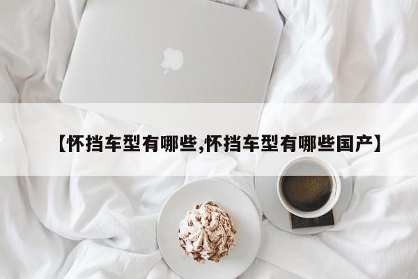 【怀挡车型有哪些,怀挡车型有哪些国产】