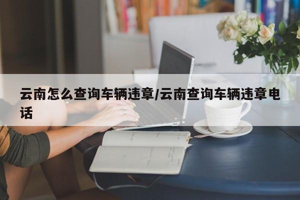 云南怎么查询车辆违章/云南查询车辆违章电话