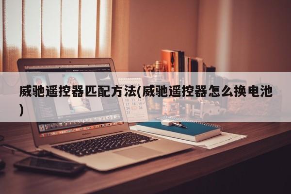 威驰遥控器匹配方法(威驰遥控器怎么换电池)