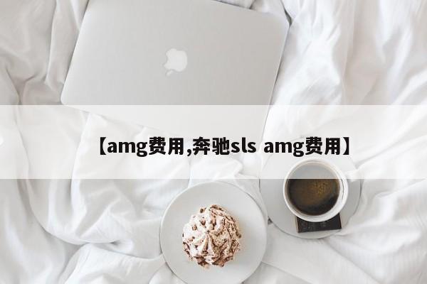 【amg费用,奔驰sls amg费用】