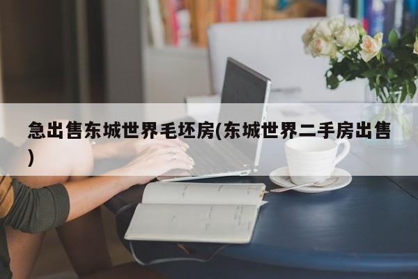 急出售东城世界毛坯房(东城世界二手房出售)