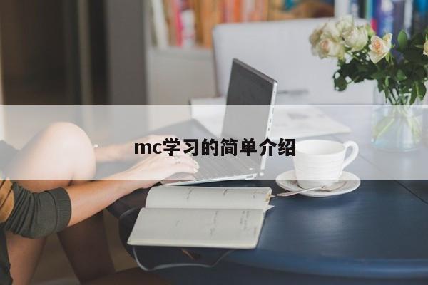 mc学习的简单介绍