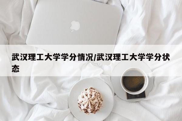 武汉理工大学学分情况/武汉理工大学学分状态