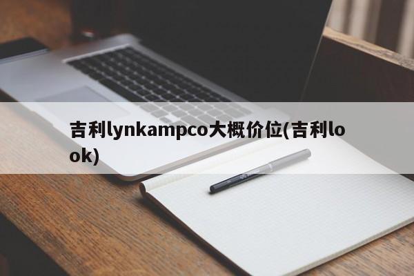吉利lynkampco大概价位(吉利look)