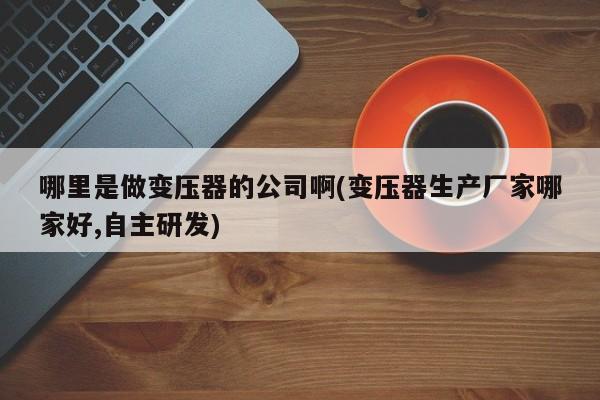 哪里是做变压器的公司啊(变压器生产厂家哪家好,自主研发)