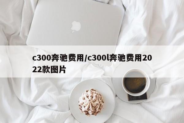 c300奔驰费用/c300l奔驰费用2022款图片
