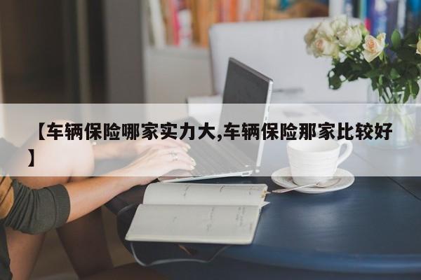 【车辆保险哪家实力大,车辆保险那家比较好】