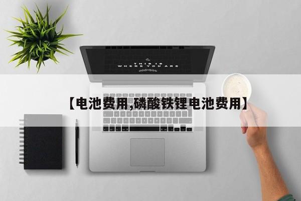 【电池费用,磷酸铁锂电池费用】