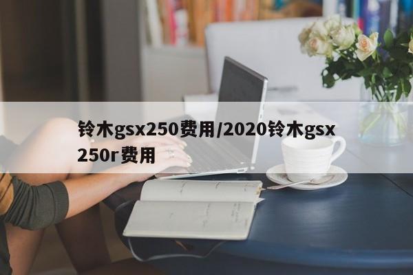 铃木gsx250费用/2020铃木gsx250r费用